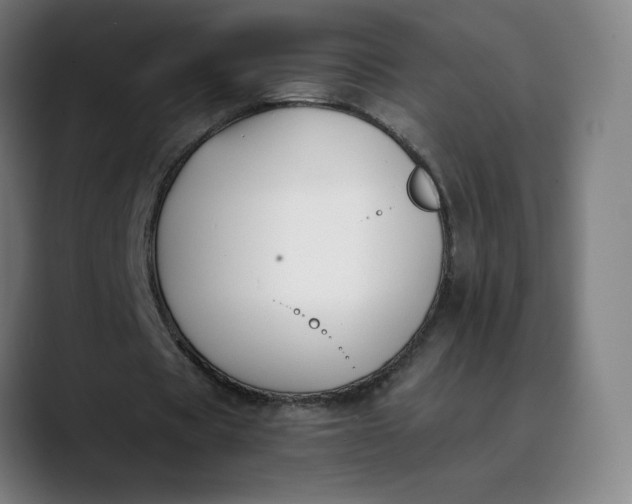 X0000089830529200707121642