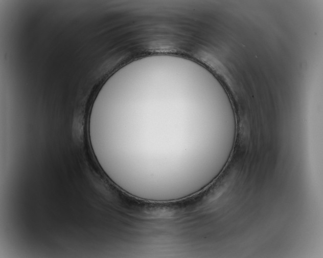 X0000089830533200707121642