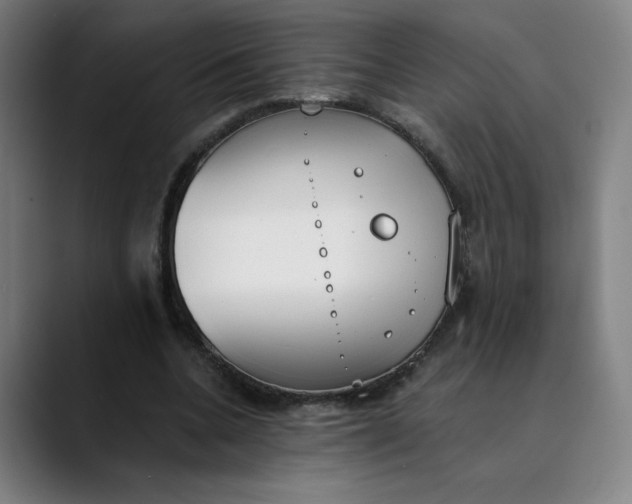 X0000089830536200707121642