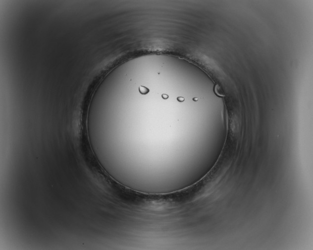 X0000089830540200707121642