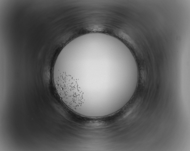 X0000089830541200707121642