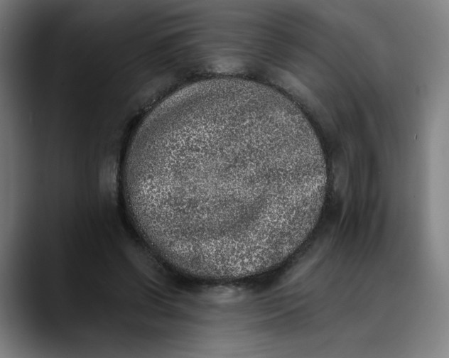 X0000089830542200707121642