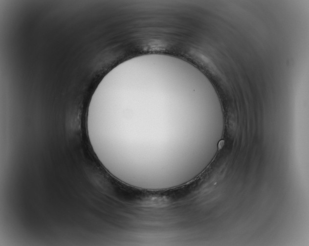 X0000089830543200707121642