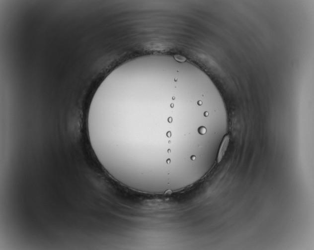 X0000089830544200707121642