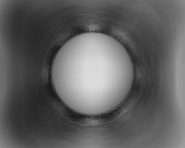 X0000089830545200707121642