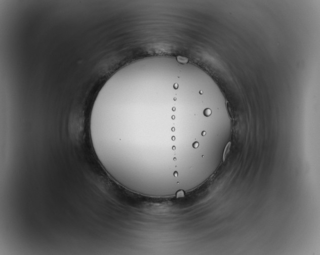 X0000089830548200707121642