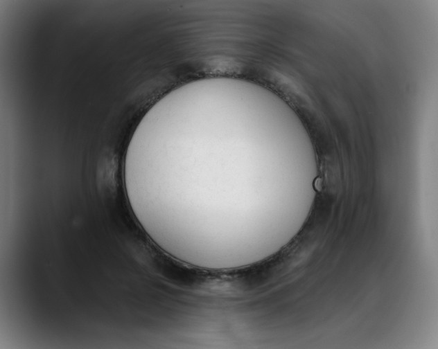 X0000089830550200707121642