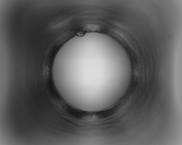 X0000089830551200707121642