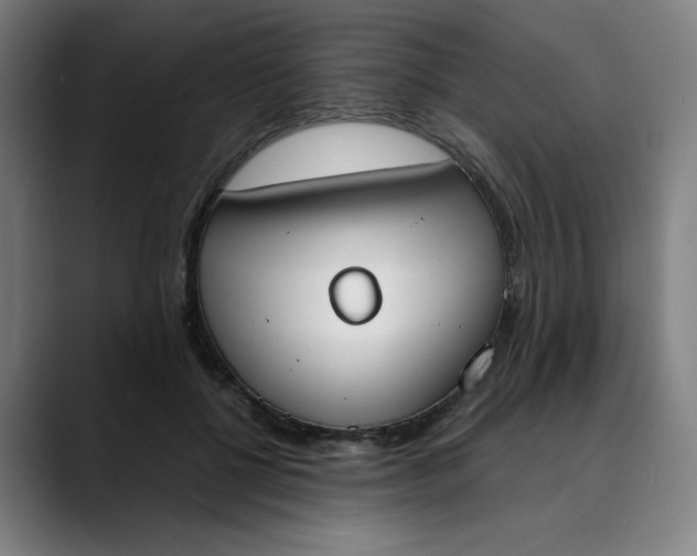 X0000089830552200707121642