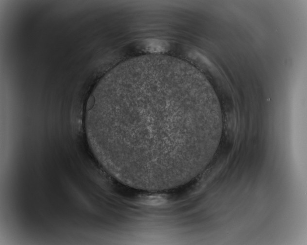 X0000089830553200707121643