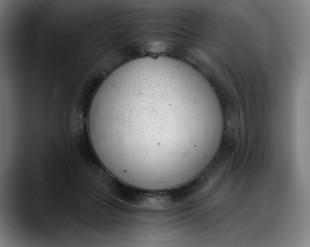 X0000089830555200707121643