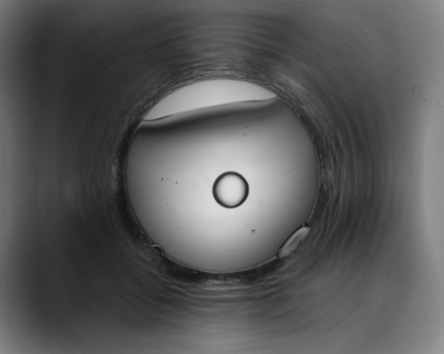 X0000089830556200707121643