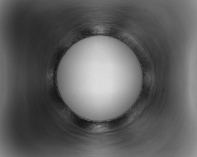 X0000089830557200707121643