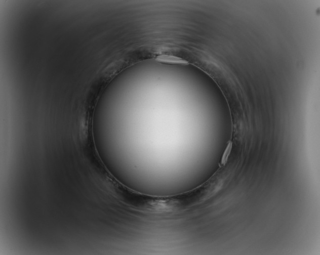 X0000089830558200707121643