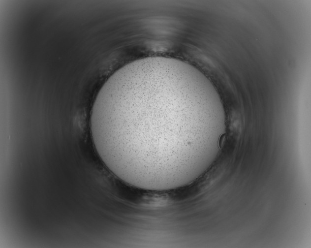 X0000089830559200707121643