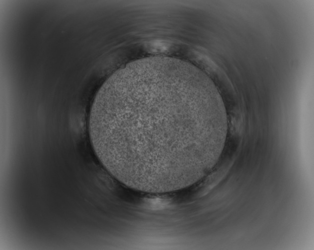 X0000089830561200707121643