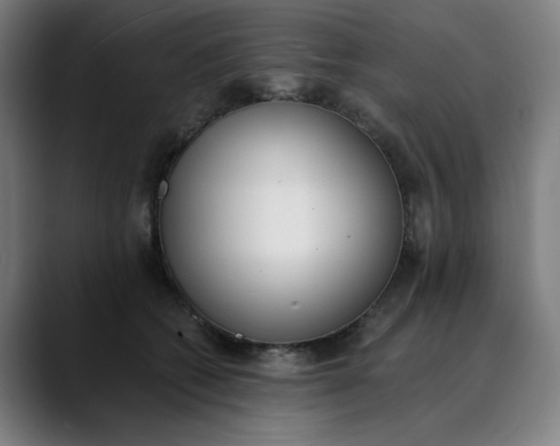 X0000089830562200707121643