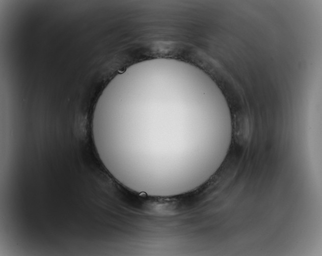 X0000089830563200707121643