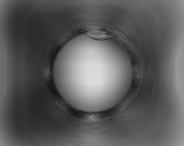 X0000089830564200707121643