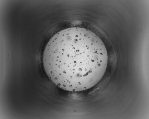 X0000089830565200707121643