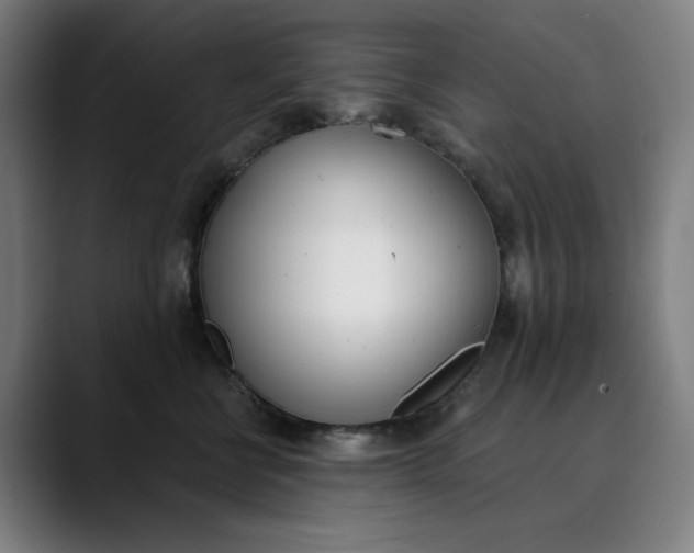 X0000089830570200707121643