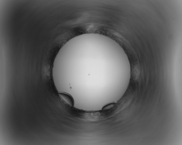 X0000089830571200707121643