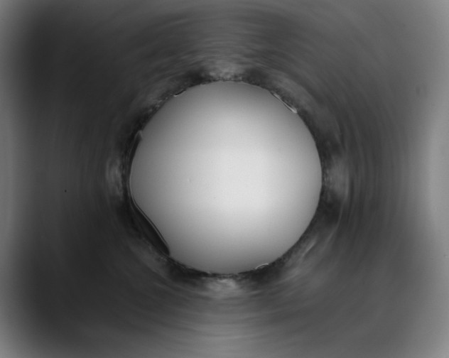 X0000089830572200707121643