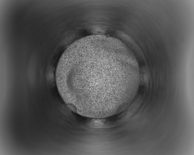 X0000089830573200707121643