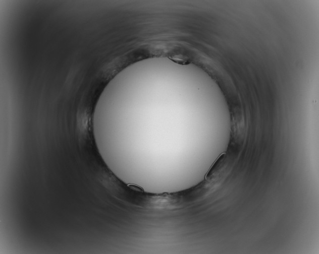 X0000089830574200707121643