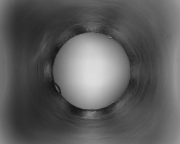 X0000089830575200707121643