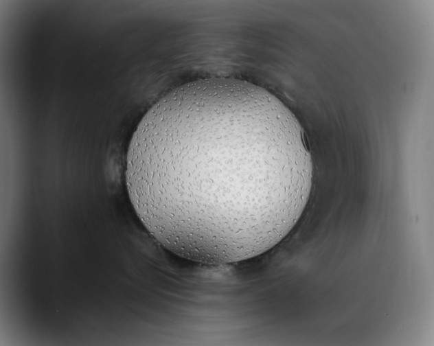 X0000089830576200707121643