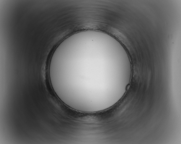 X0000089830578200707121642