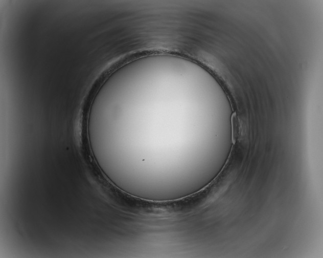 X0000089830580200707121642