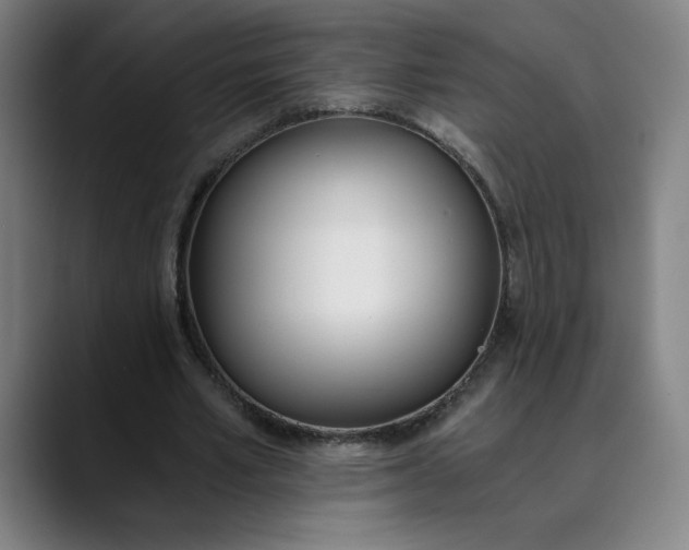 X0000089830581200707121642