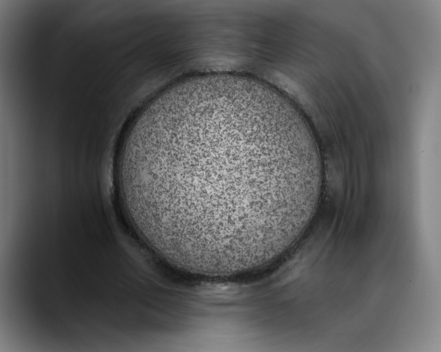 X0000089830582200707121642