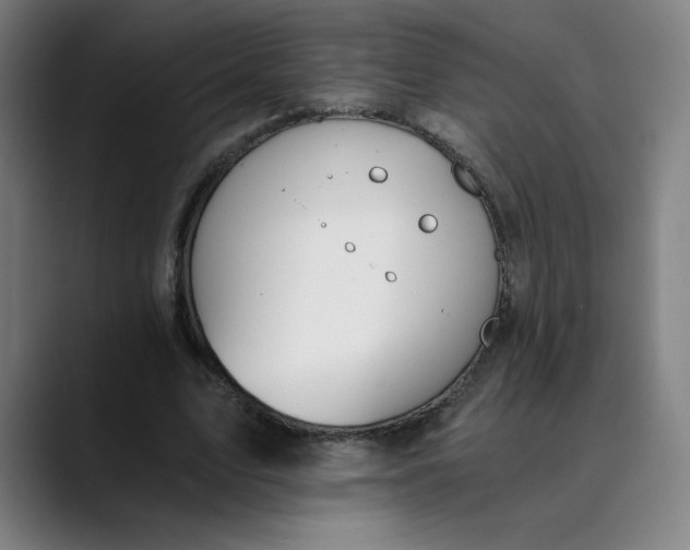 X0000089830583200707121642