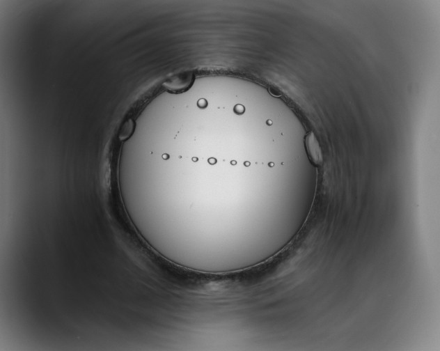 X0000089830584200707121642