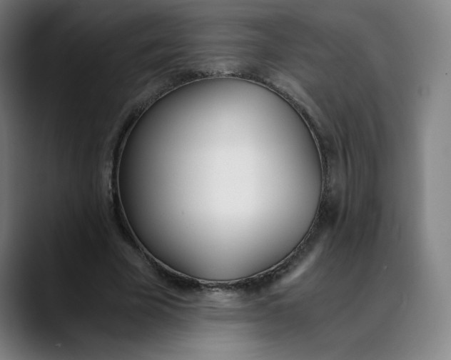 X0000089830585200707121642