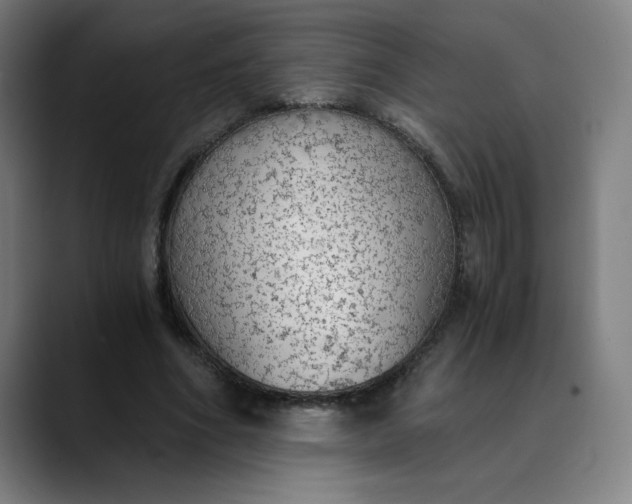 X0000089830586200707121642