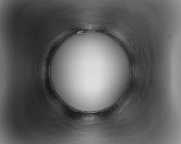 X0000089830587200707121642