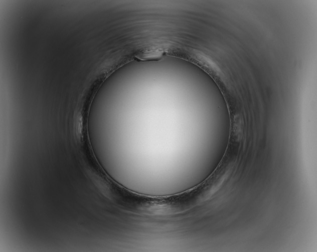 X0000089830589200707121642