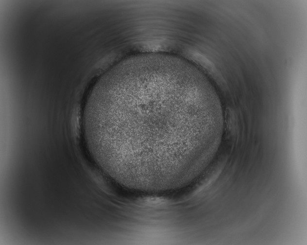 X0000089830590200707121642