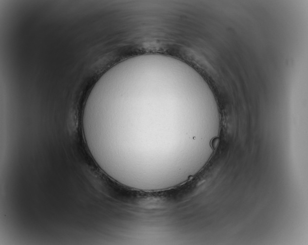 X0000089830593200707121642