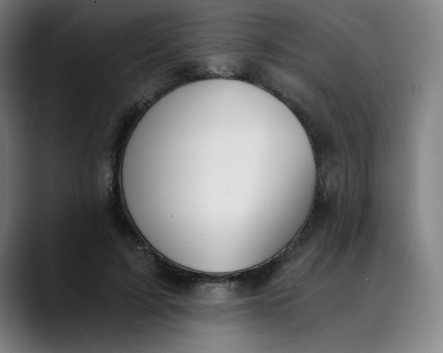 X0000089830595200707121642