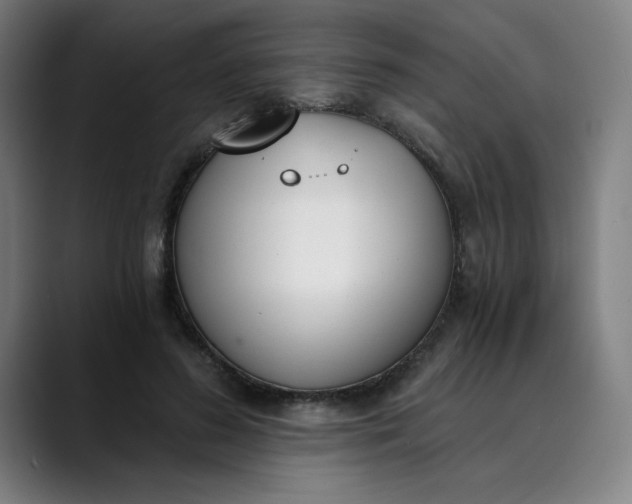 X0000089830596200707121642