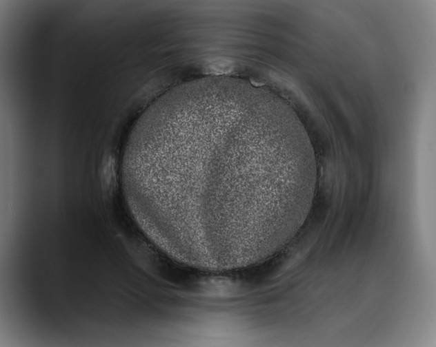 X0000089830598200707121642