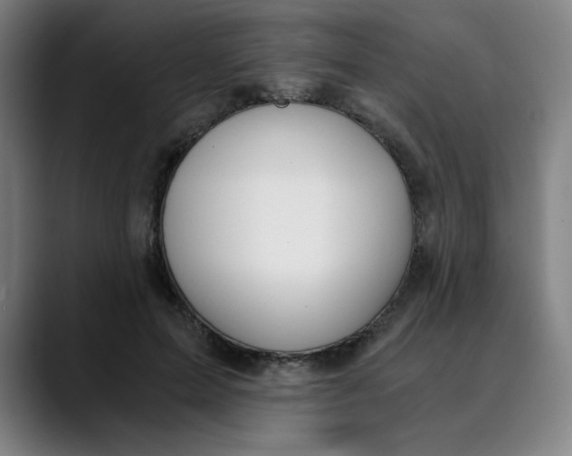 X0000089830599200707121642