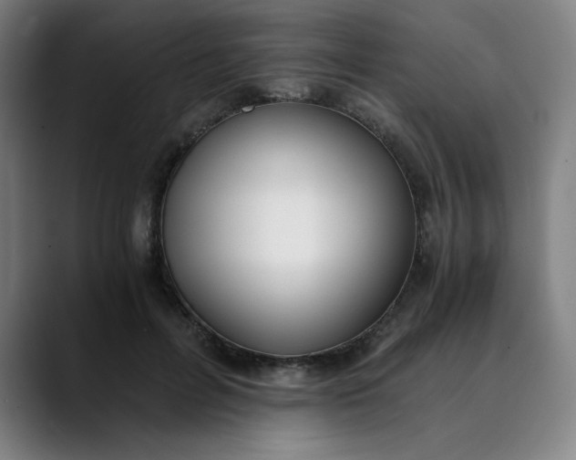 X0000089830600200707121642