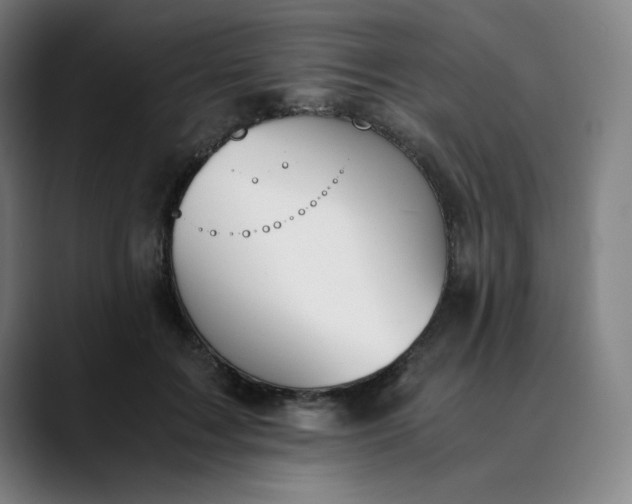 X0000089830603200707121642