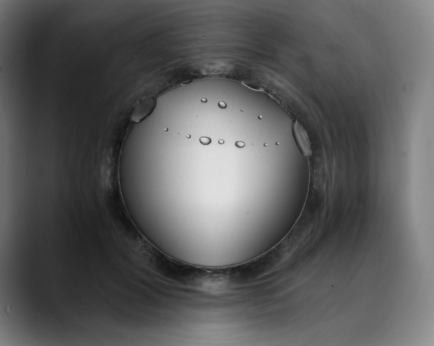 X0000089830604200707121642